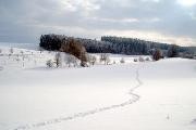 11 - auch im Winter - Foto K. und S. Heiss